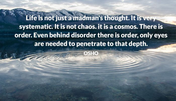 Life is not just a madman’s thought. It is very systematic.