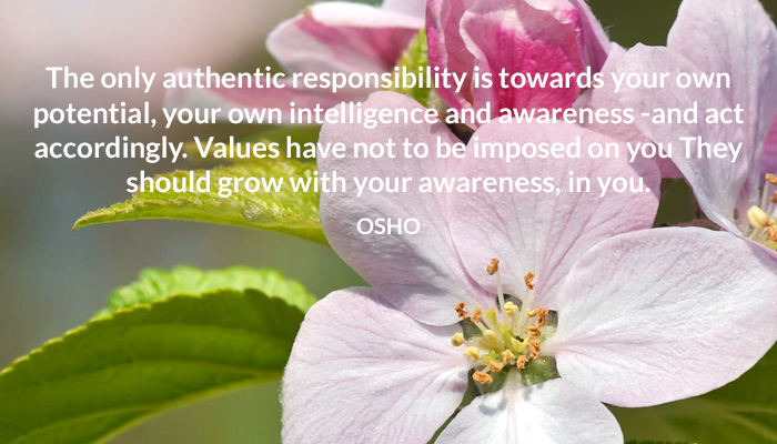 awareness grow intelligence osho potential values