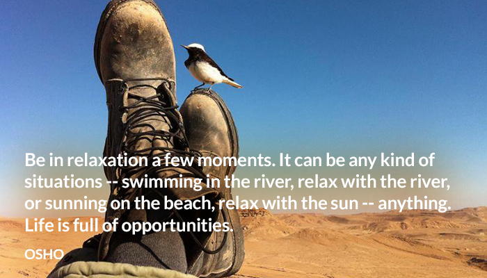 beach life moment opportunity osho relax river situations sun swim