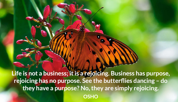 business butterflies dancing life not osho purpose rejoicing