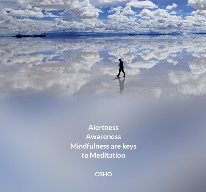 Watchfulness, Awareness, Alertness (OSHO Singles) (English Edition