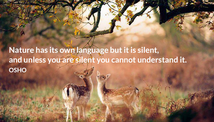 language nature osho silent understand