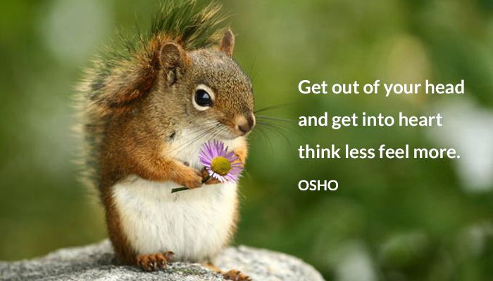 feel get head heart into less more osho out think