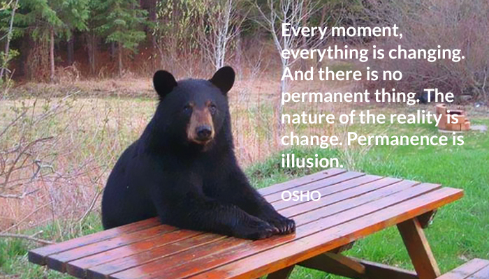 change everything illusion moment nature no osho permanent reality