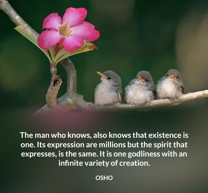 creation existence expresses godliness infinite knows man millions one osho quote spirit